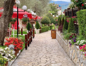 Palma Nova Resort 4*