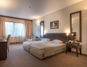 Hotel Lion 4*