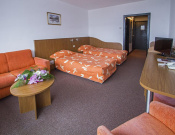 Hotel Samokov 4*