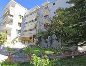 Star Hotel 3*